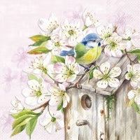 IHR Cherry Blossom Birdhouse Serviettes