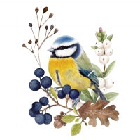 PPD Oiseau en Nature Serviettes