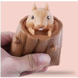 Pop-Up Squirrel Toy