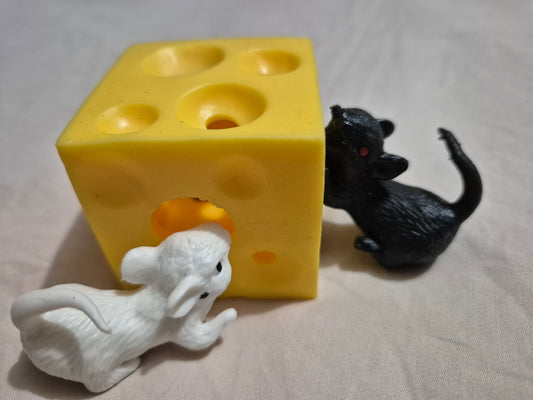 Fun Squishy Holey Cheese and Mouse Toy Set