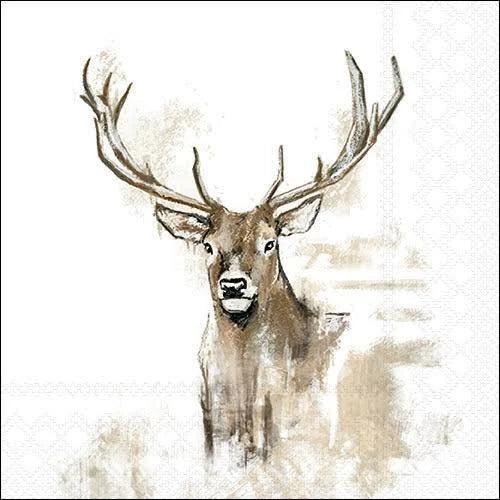 Ambiente Antlers