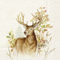 IHR Hunted Deer Paper Range