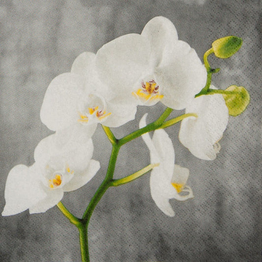 White Orchid Serviettes