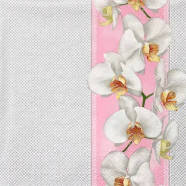 Tender Orchids on Pink