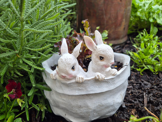Garden Pot with Baby Rabbits